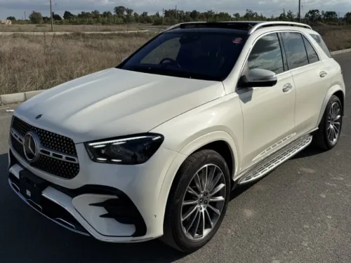 2025 Model Otomatik Mercedes - Benz GLE