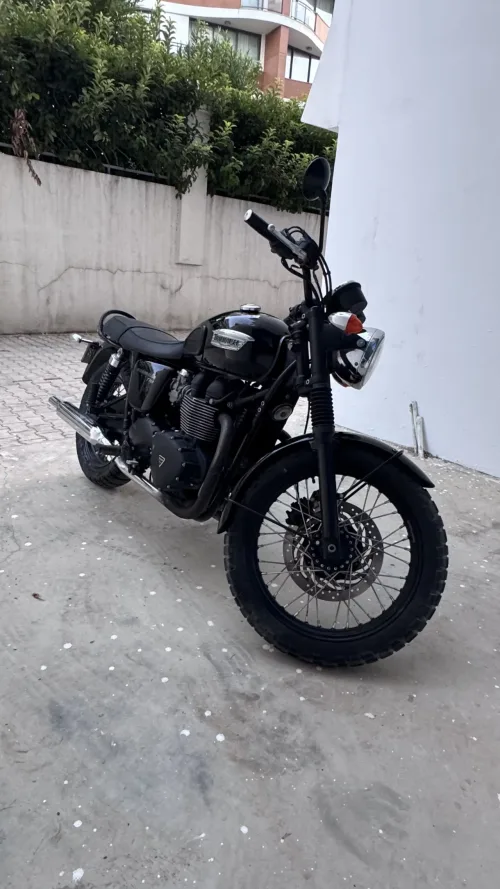 2013 Model Düz Triumph Diğer