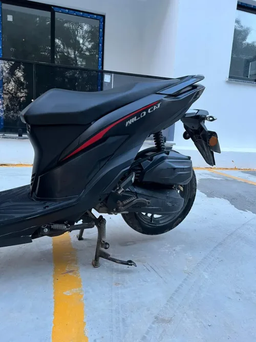 2021 Model Otomatik RKS Wildcat