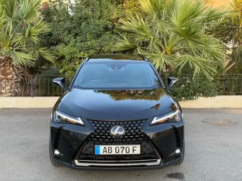 2022 Model Otomatik Lexus UX