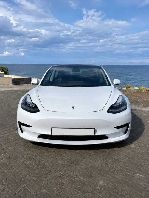 2020 Tesla Model 3 - Önizleme 1
