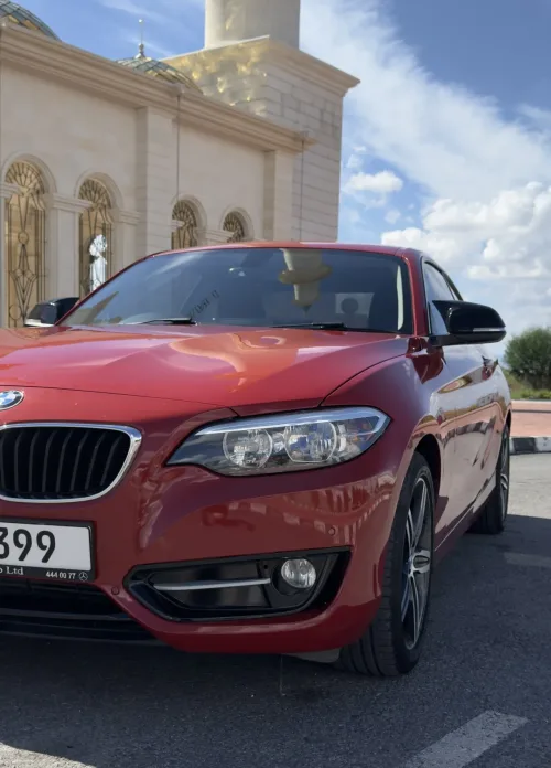 2016 BMW 2 Serisi - Önizleme 2