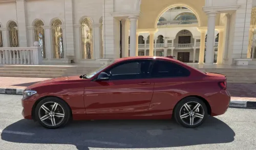 2016 BMW 2 Serisi - Önizleme 3
